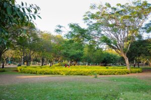 Taxi in Panchsheel Park Delhi